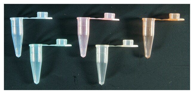 Axygen 0.2 mL Thin Wall PCR Tubes with Flat Cap, Assorted Colors, Nonsterile