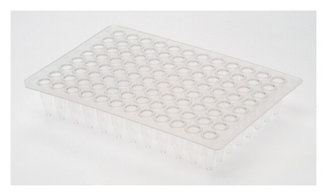 96 Well Clear Flat Top PCR Microplate 5/Pk.