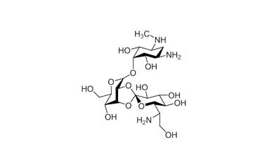 Hygromycin B, CAS# 31282-04-9