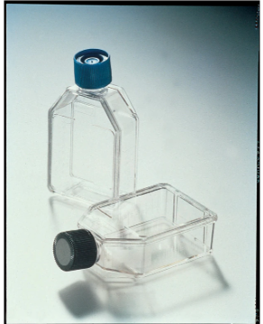 75 cm2 Treated Tissue Culture Flasks