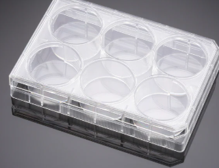 Falcon 6-well Clear Flat Bottom TCtreated Multiwell Cell Culture Plate, with Lid, Individually Wrapped, Sterile