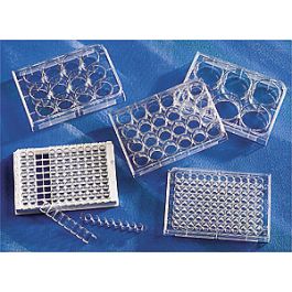 24-well Clear TC-treated Multiple Well Plates, Bulk Pack, Sterile