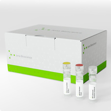 Blood DNA Preparation - Column Kit