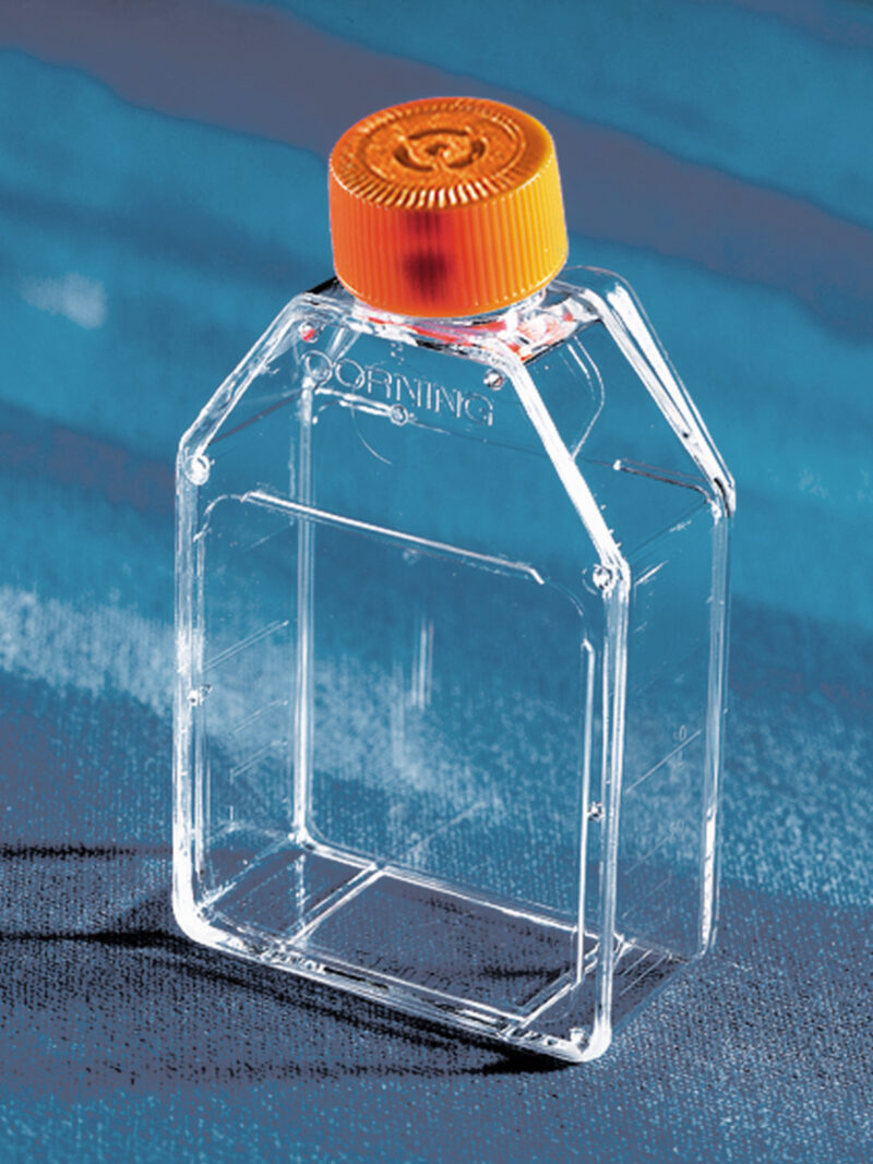 Corning 25cm² Rectangular Canted Neck Cell Culture Flask with Vent Cap