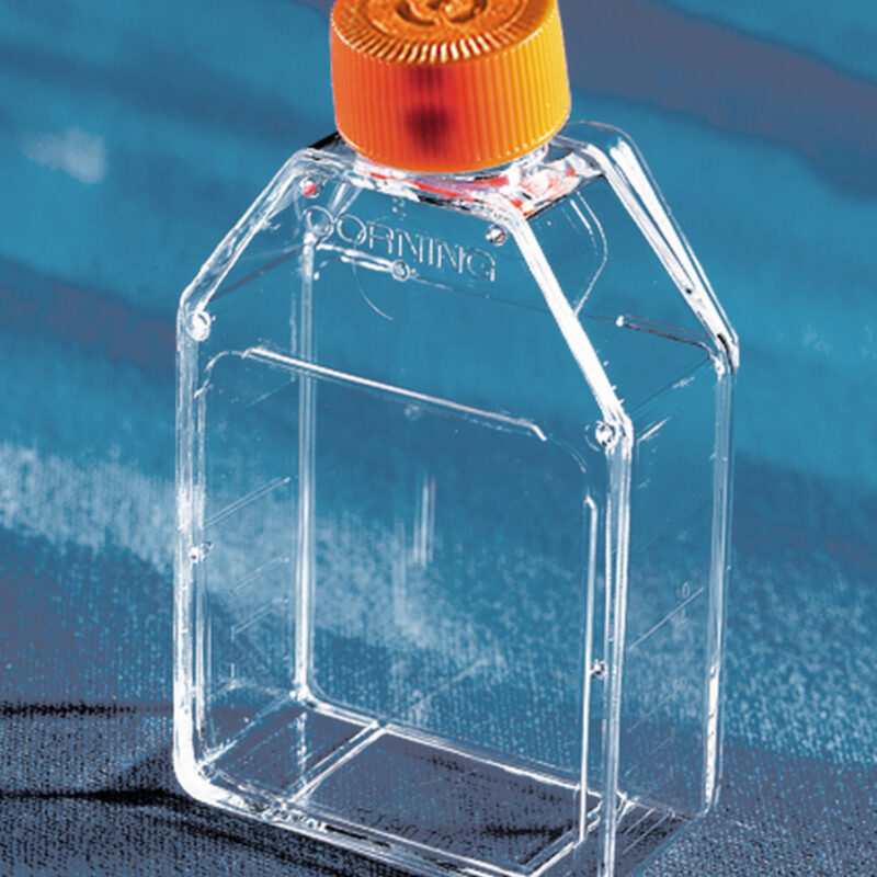 Corning 25cm² Rectangular Canted Neck Cell Culture Flask with Vent Cap