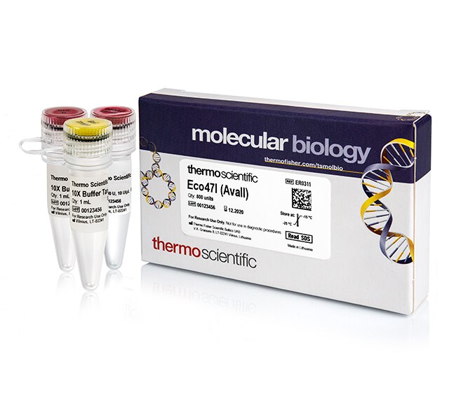Eco47I (AvaII) (10 U/μL) Restriction enzyme, 800 units