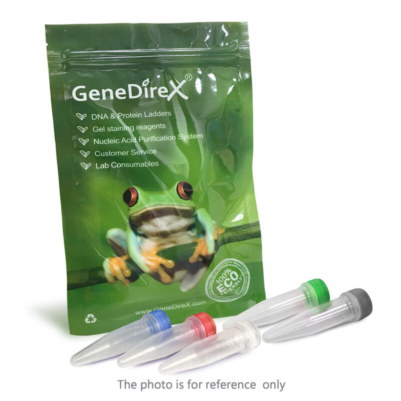 GDP-HiFi DNA Polymerase