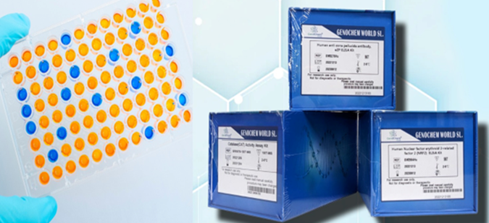 DPPH Free Radical Scavenging Capacity Assay Kit