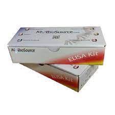 Human Sorbitol Dehydrogenase (SDH) ELISA Kit
