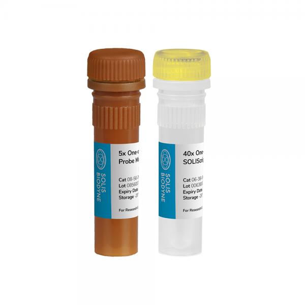 SOLIScript 1-step Probe Kit