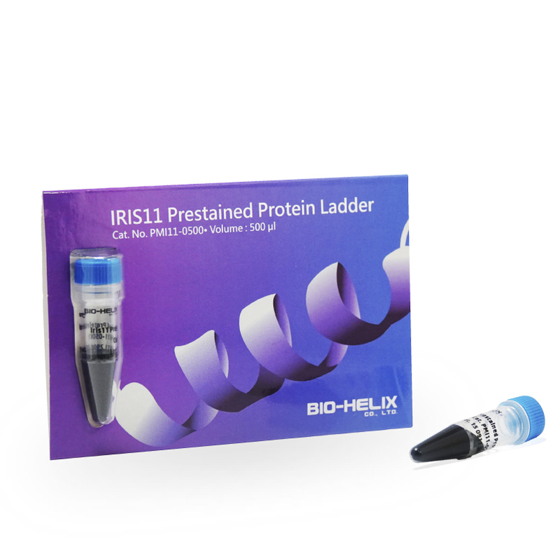 IRIS11 Prestained Protein Ladder